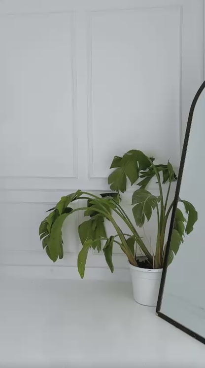 Cotton melton cardigan in sage